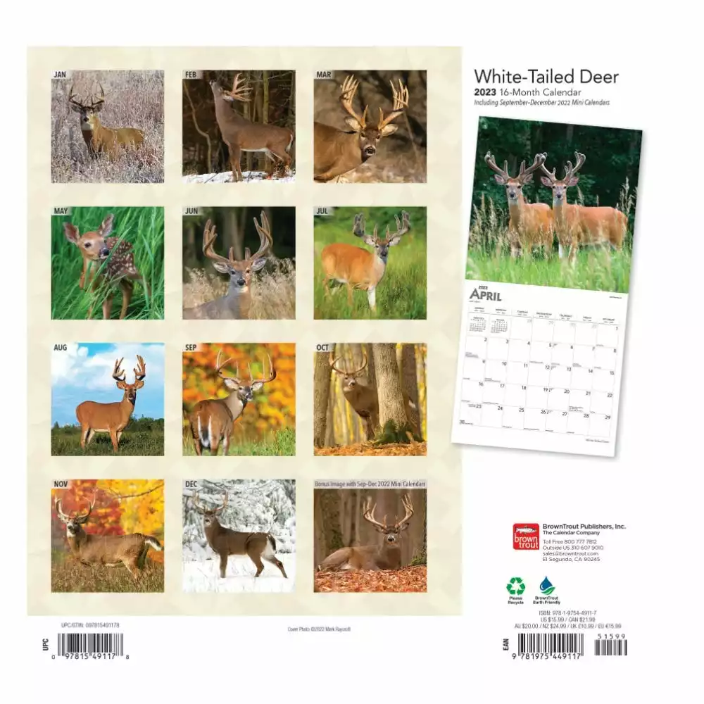 Brown Trout White Tailed Deer 2023 Square Foil Calendar - Calendars 4 Brown Trout White Tailed Deer 2023 Square Foil Calendar - Calendars - Image 2