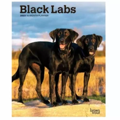 Brown Trout Black Labs 2023 Monthly Planner - Calendars