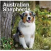 Brown Trout Australian Shepherds 2023 Mini 7x7 Calendar - Calendars 1 Brown Trout Australian Shepherds 2023 Mini 7x7 Calendar - Calendars -Hearth & Home Store 11a99f8bbdf82e18479c3a725d3ab3cf6e0e8957 2022023760