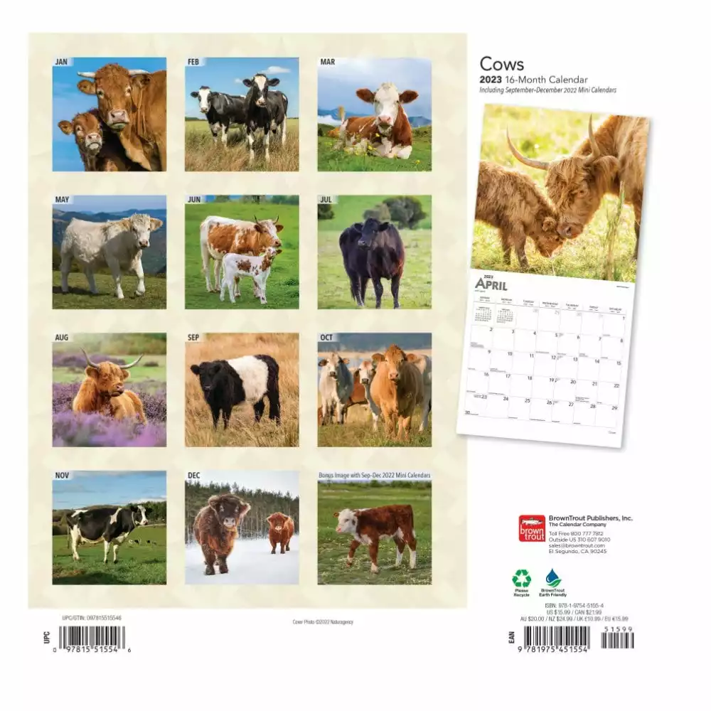 Brown Trout Cows 2023 Square Calendar - Calendars 4 Brown Trout Cows 2023 Square Calendar - Calendars - Image 2