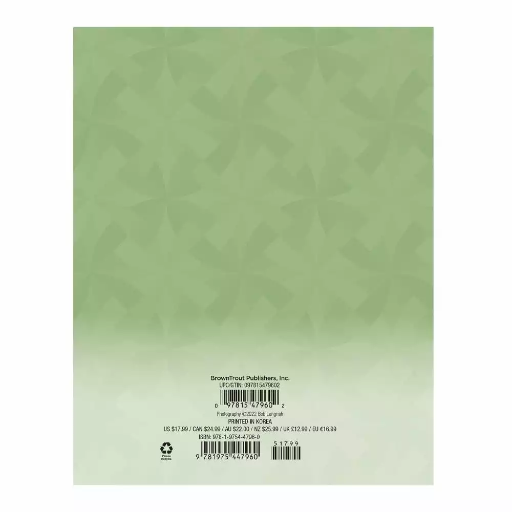 Brown Trout Horse Lovers 2023 Monthly Planner - Calendars 4 Brown Trout Horse Lovers 2023 Monthly Planner - Calendars - Image 2