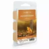 Candle Warmers Enchanted Leaves Wax Melt, 2.5oz - 7317S - Wax Melts 1 Candle Warmers Enchanted Leaves Wax Melt, 2.5oz - 7317S - Wax Melts -Hearth & Home Store 171f39ec042edd241ecbaa2199c7b5e32c83e955 626ce38d c934 405f 856b 965e98cc621e