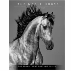 Brown Trout The Noble Horse Portrait Series 2023 Monthly Planner - Calendars