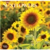 Brown Trout Sunflowers 2023 Mini 7x7 Calendar - Calendars 1 Brown Trout Sunflowers 2023 Mini 7x7 Calendar - Calendars -Hearth & Home Store 2c484d6b4e00bc15af27fed0753993bfc9fa363e 2022023762
