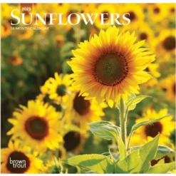 Brown Trout Sunflowers 2023 Mini 7x7 Calendar - Calendars