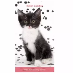 Brown Trout Kitten Cuddles 2023 Pocket Planner - Calendars