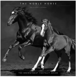 Brown Trout The Noble Horse Portrait Series 2023 Square Calendar - Calendars