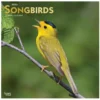 Brown Trout Songbirds 2023 Square Foil Calendar - Calendars 1 Brown Trout Songbirds 2023 Square Foil Calendar - Calendars -Hearth & Home Store 3eec262686f9f8812f9bcedb22a34076970022e4 2022023826