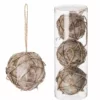 Various Brands Snowy Fructus Corni Ornament - JK95284 - Décor 2 Various Brands Snowy Fructus Corni Ornament - JK95284 - Décor -Hearth & Home Store 3f988e52abb966146d63f6b0503dc37a3396a3f3 3239718016