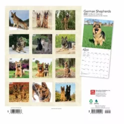 Brown Trout German Shepherds 2023 Square Foil Calendar - Calendars 5 Brown Trout German Shepherds 2023 Square Foil Calendar - Calendars -Hearth & Home Store 4039ecd1a0c378ffdba9a89010bd4af7851d6a7d 2022023795 1