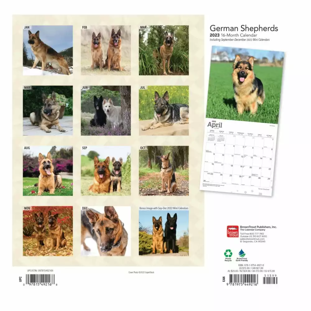 Brown Trout German Shepherds 2023 Square Foil Calendar - Calendars 4 Brown Trout German Shepherds 2023 Square Foil Calendar - Calendars - Image 2