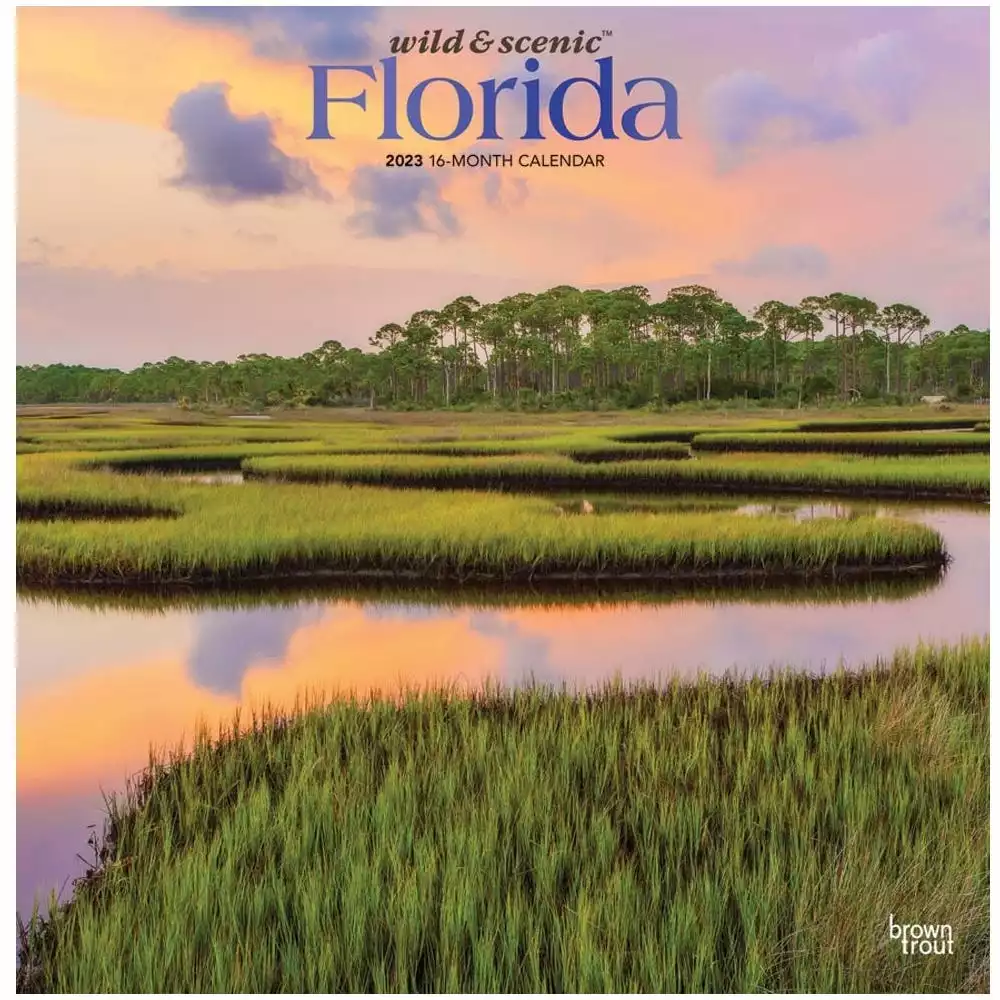 Brown Trout Florida Wild & Scenic 2023 Square Foil Calendar - Calendars 3 Brown Trout Florida Wild & Scenic 2023 Square Foil Calendar - Calendars