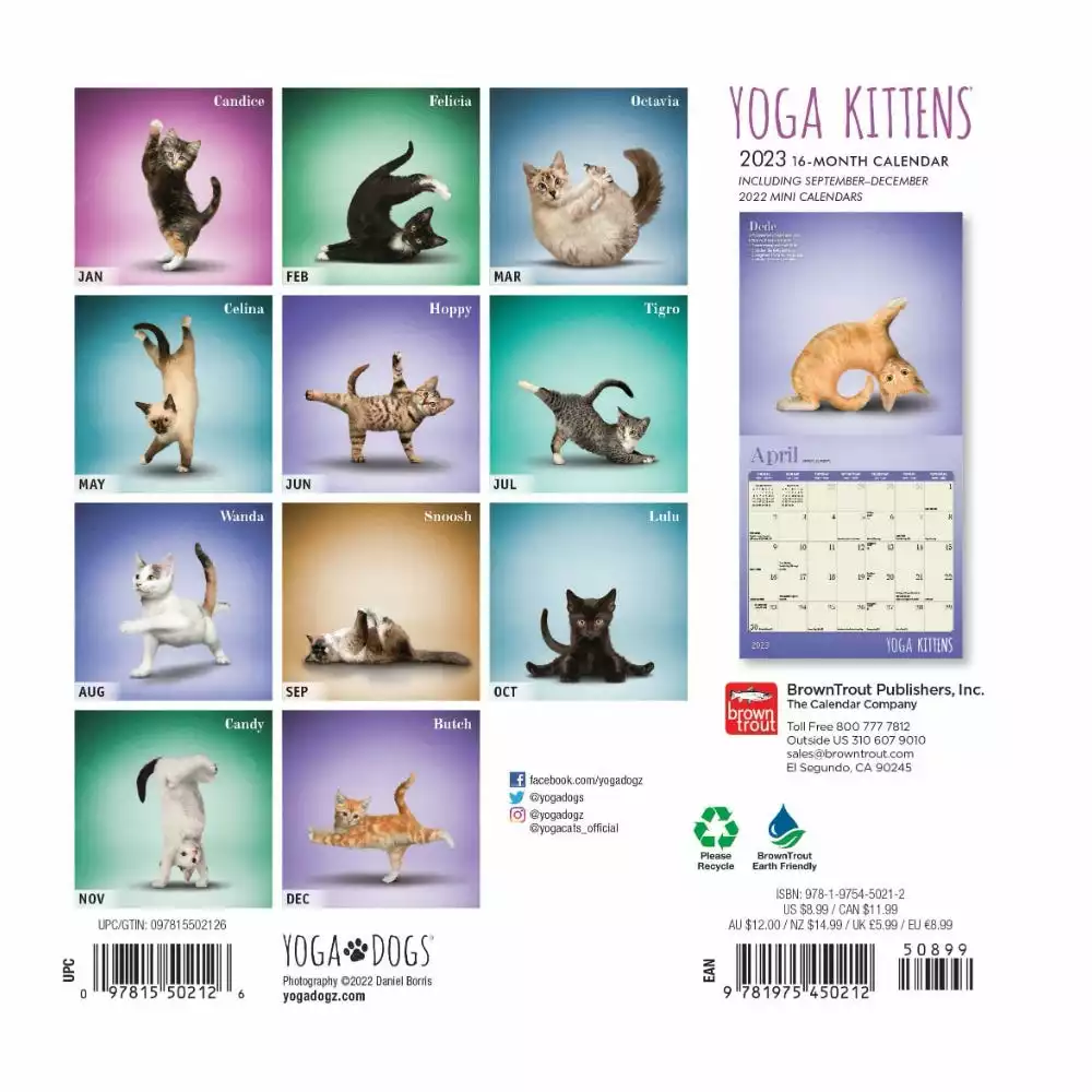 Brown Trout Yoga Kittens 2023 Mini 7x7 Calendar - Calendars 4 Brown Trout Yoga Kittens 2023 Mini 7x7 Calendar - Calendars - Image 2