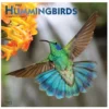 Brown Trout Hummingbirds 2023 Square Foil Calendar - Calendars -Hearth & Home Store 52478957d6dcbb9a0eaa398c20e4a5d1b91502b9 2022023820.2