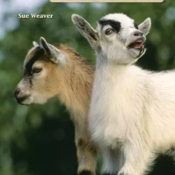 Companion Books Hobby Farm: Mini Goats - Books and Magazines