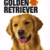 Companion Books SOG Golden Retriever - Books and Magazines -Hearth & Home Store 53281524 53281524 image 53281524