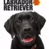 Companion Books SOG Labrador Retriever - Books and Magazines -Hearth & Home Store 53281526 53281526 image 53281526