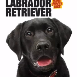 Companion Books SOG Labrador Retriever - Books and Magazines