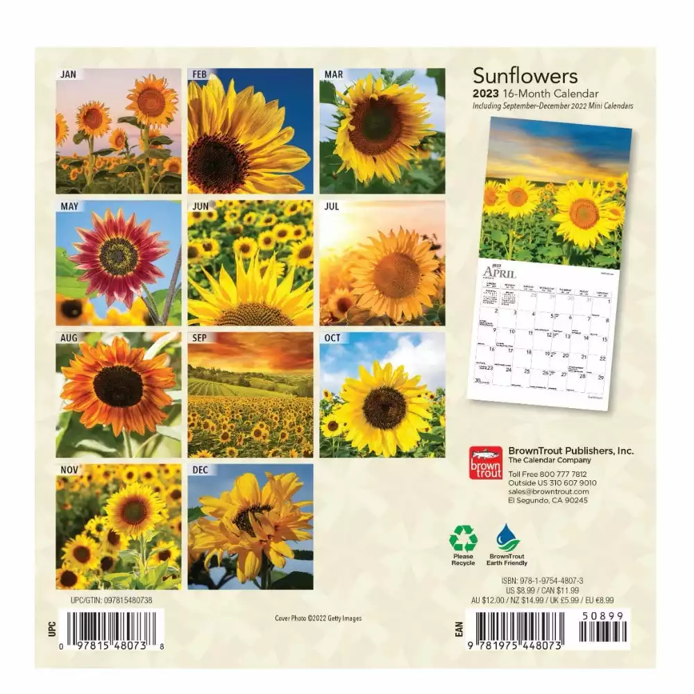Brown Trout Sunflowers 2023 Mini 7x7 Calendar - Calendars 4 Brown Trout Sunflowers 2023 Mini 7x7 Calendar - Calendars - Image 2