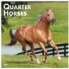 Brown Trout Quarter Horses 2023 Square Calendar - Calendars -Hearth & Home Store 5c536a50e259e4ee95ee9308bc2d734c11c7e802 2022023813