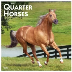 Brown Trout Quarter Horses 2023 Square Calendar - Calendars