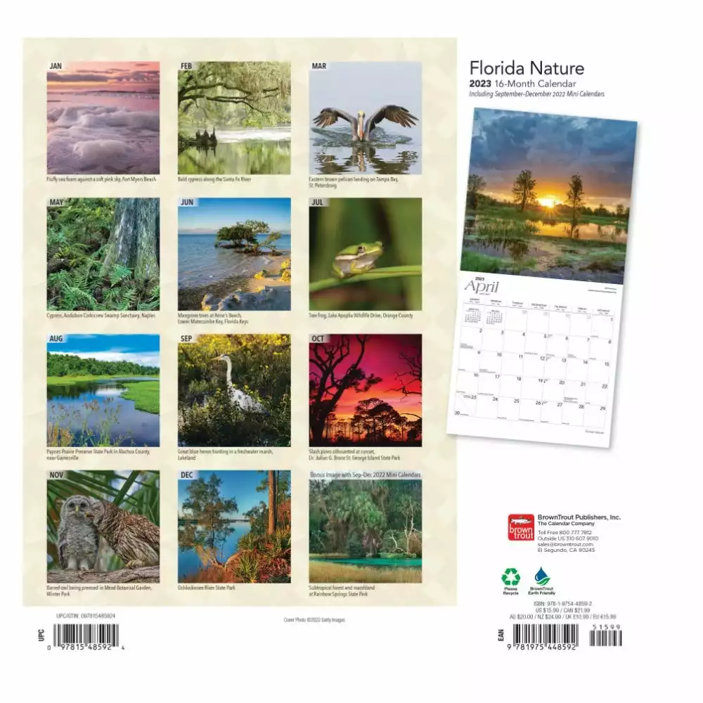 Brown Trout Florida Nature 2023 Square Foil Calendar - Calendars 4 Brown Trout Florida Nature 2023 Square Foil Calendar - Calendars - Image 2