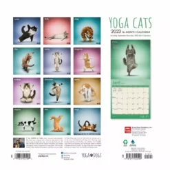 Brown Trout Yoga Cats 2023 Square Calendar - Calendars -Hearth & Home Store 5ff2c6901dfbcc66aa2bae1340a6d2e8cf899ab7 2022023802 1
