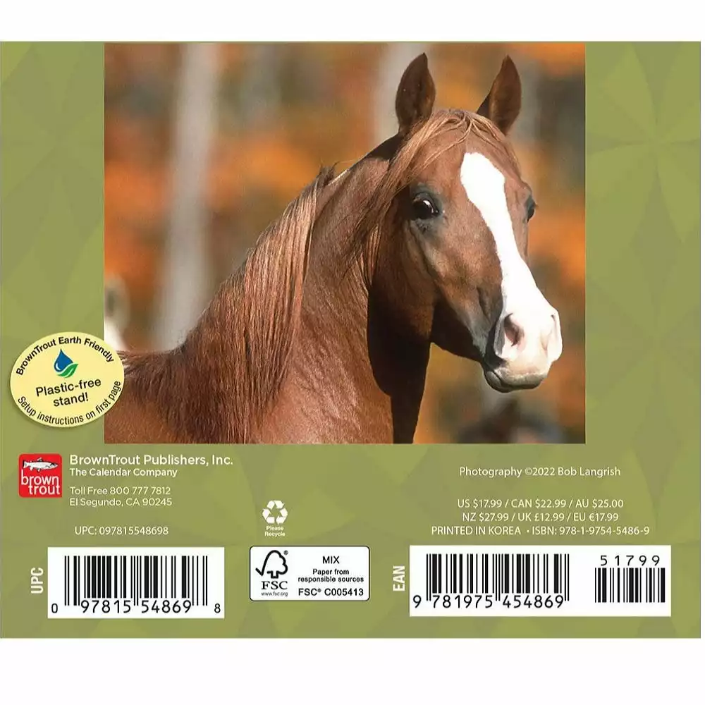 Brown Trout Horse Lovers 2023 Box - Calendars 4 Brown Trout Horse Lovers 2023 Box - Calendars - Image 2
