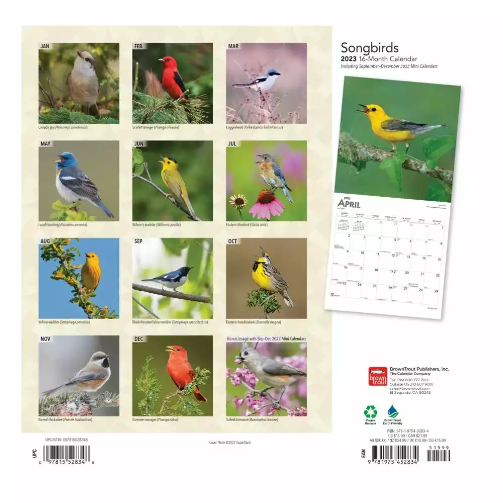Brown Trout Songbirds 2023 Square Foil Calendar - Calendars 4 Brown Trout Songbirds 2023 Square Foil Calendar - Calendars - Image 2