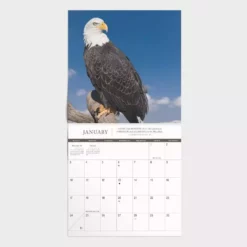Dayspring On Eagles' Wings Mini Wall Calendar J3945 - Calendars 5 Dayspring On Eagles' Wings Mini Wall Calendar J3945 - Calendars -Hearth & Home Store 7e9d1fab199f0b09824b492eb6c6fe3aa8d75515 550523007 2