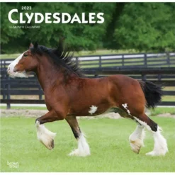 Brown Trout Clydesdales 2023 Square Calendar - Calendars