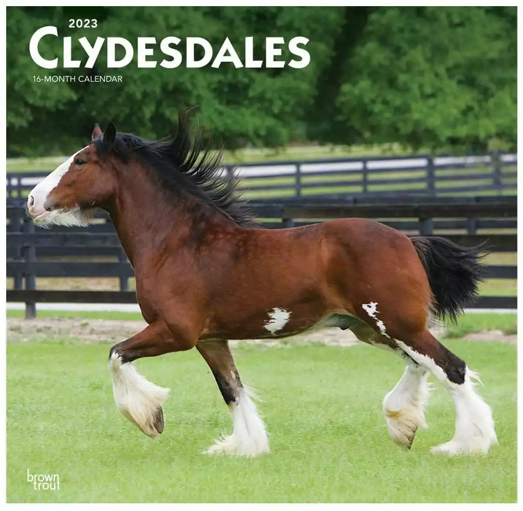 Brown Trout Clydesdales 2023 Square Calendar - Calendars 3 Brown Trout Clydesdales 2023 Square Calendar - Calendars