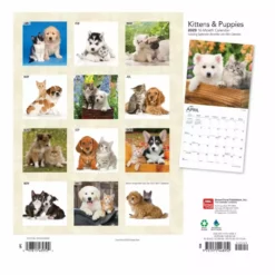 Brown Trout Kittens & Puppies 2023 Square Foil Calendar - Calendars 5 Brown Trout Kittens & Puppies 2023 Square Foil Calendar - Calendars -Hearth & Home Store 8b1a3c5ce10ab970ac0e011e8cf668e3a29ecdfe 2022023819 1
