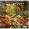 Brown Trout Tennessee Wild & Scenic 2023 Mini 7x7 Calendar - Calendars -Hearth & Home Store 935ef93a6d0ae15490e4d3c2d04fd3ba89be0980 2022023735