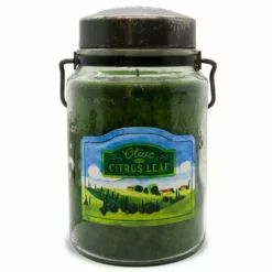 McCall's Olive Citrus Leaf Classic Jar Candle, 26 oz. - JOL-26 - Candles
