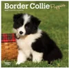 Brown Trout Border Collie Puppies 2023 Mini 7x7 Calendar - Calendars