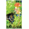 Brown Trout In the Garden 2023-24 Monthly Pocket Planner - Calendars -Hearth & Home Store 9fa093310735eac52e0b70ad7b0724d61a95b87d 2022023769
