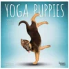 Brown Trout Yoga Puppies 2023 Mini 7x7 Calendar - Calendars