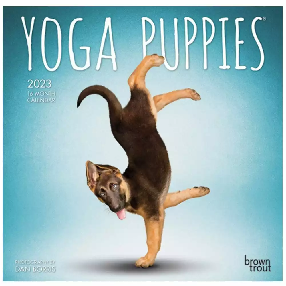 Brown Trout Yoga Puppies 2023 Mini 7x7 Calendar - Calendars 3 Brown Trout Yoga Puppies 2023 Mini 7x7 Calendar - Calendars