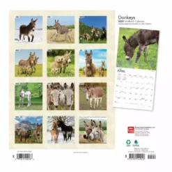 Brown Trout Donkeys 2023 Square Calendar - Calendars -Hearth & Home Store a88f86d2873af5f0a87ac5d92fca341e30ffecdb 2022023817 1