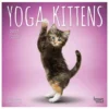 Brown Trout Yoga Kittens 2023 Mini 7x7 Calendar - Calendars -Hearth & Home Store a971f8d12fdfa04dc99a4c778ea27a1f11e7a244 2022023749