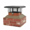 HY-C HYC 5/8" Mesh Shelter Adjustable Series Chimney Cap SCADJLC - Storage Furniture 1 HY-C HYC 5/8" Mesh Shelter Adjustable Series Chimney Cap SCADJLC - Storage Furniture -Hearth & Home Store adjustable chimney cap 1