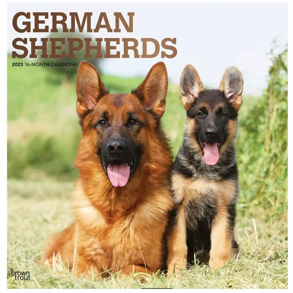 Brown Trout German Shepherds 2023 Square Foil Calendar - Calendars 3 Brown Trout German Shepherds 2023 Square Foil Calendar - Calendars