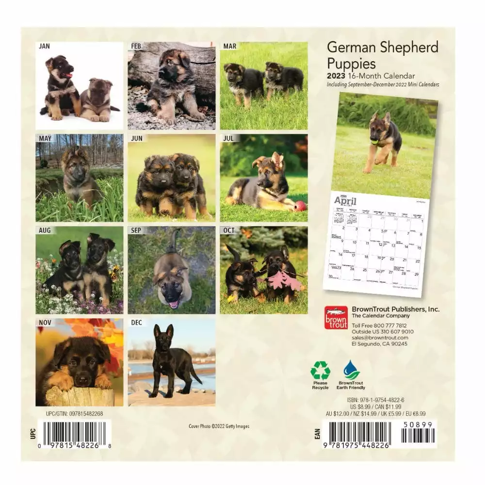 Brown Trout German Shepherd Puppies 2023 Mini 7x7 Calendar - Calendars 4 Brown Trout German Shepherd Puppies 2023 Mini 7x7 Calendar - Calendars - Image 2