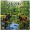 Brown Trout Florida Wild & Scenic 2023 Mini 7x7 Calendar - Calendars -Hearth & Home Store b00659577e93561c9371d834a7d77e832066a495 2022023729