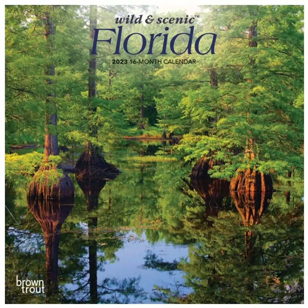 Brown Trout Florida Wild & Scenic 2023 Mini 7x7 Calendar - Calendars 3 Brown Trout Florida Wild & Scenic 2023 Mini 7x7 Calendar - Calendars