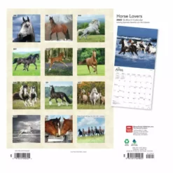 Brown Trout Horse Lovers 2023 Square Foil Calendar - Calendars -Hearth & Home Store b43486f465eb9901771fcbfa4d96f8c063ffa204 2022023782 1