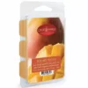 Candle Warmers Wax Melts - Summer Mango - 7980S - Candles & Home Fragrance 2 Candle Warmers Wax Melts - Summer Mango - 7980S - Candles & Home Fragrance -Hearth & Home Store b741a21849fd3a1d920cc7a70d128365d51f55cb 54012010