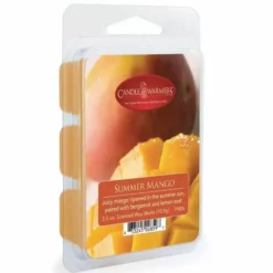 Candle Warmers Wax Melts - Summer Mango - 7980S - Candles & Home Fragrance