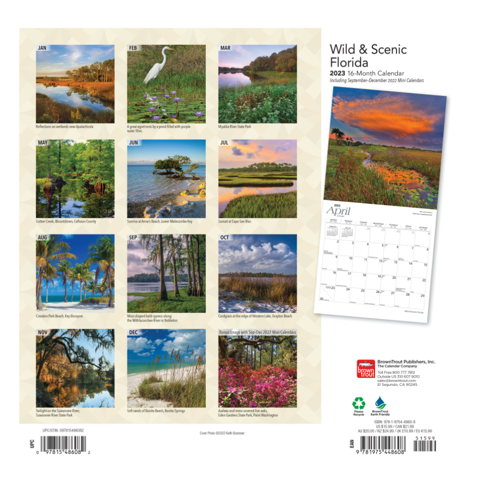 Brown Trout Florida Wild & Scenic 2023 Square Foil Calendar - Calendars 4 Brown Trout Florida Wild & Scenic 2023 Square Foil Calendar - Calendars - Image 2